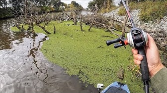 YouTube post by @GregBlanchardFishing for Deepersonar. Caption reads: These are some of my favorite days on the water.