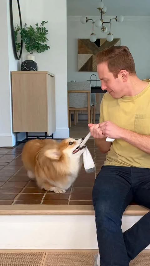 Instagram post by @hammyandolivia for PetHonesty. Caption reads: It’s a long road ahead...

... and it’s going to....