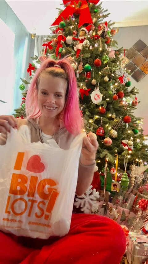 Instagram post by @rosa_notso_nice for biglots. Caption reads: @biglots has all of your last minute holiday [...].