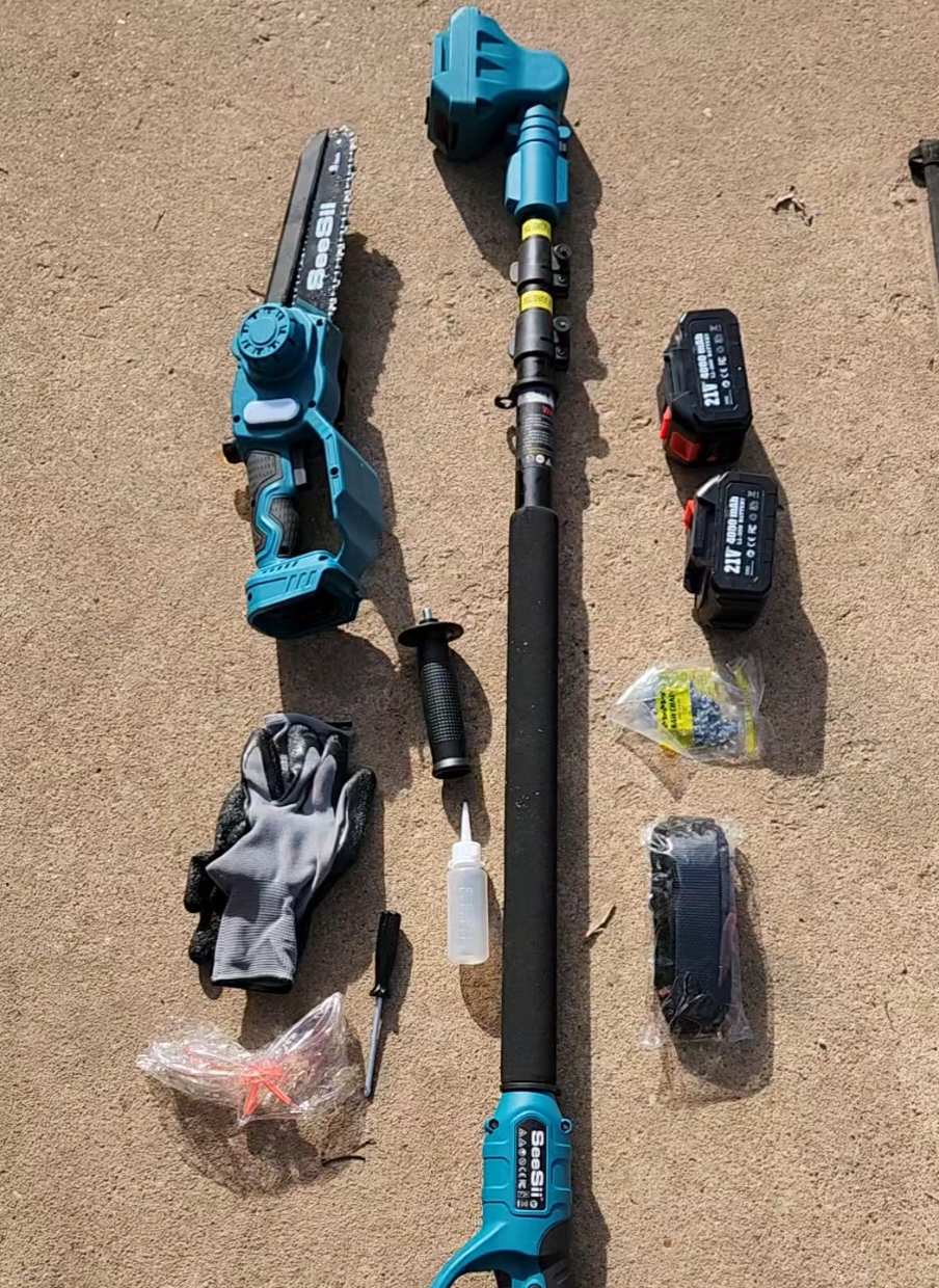 TikTok post by @arez_aeon for Seesii. Caption reads: [...] and additional coupons!!!  Get your @SEESII....