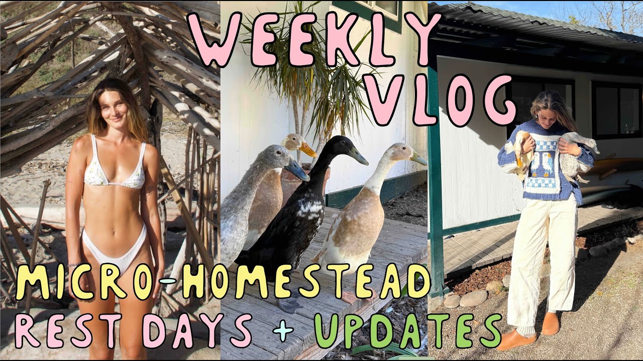 YouTube post by @wholehanna for Sprout Living. Caption reads: weekly vlog: micro homestead tasks, updates,....