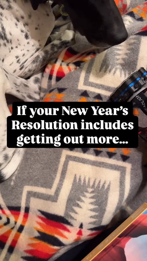 Instagram post by @page_appropriate for Lonely Planet. Caption reads: [...] more, Under the Stars USA FROM @lonelyplanet....