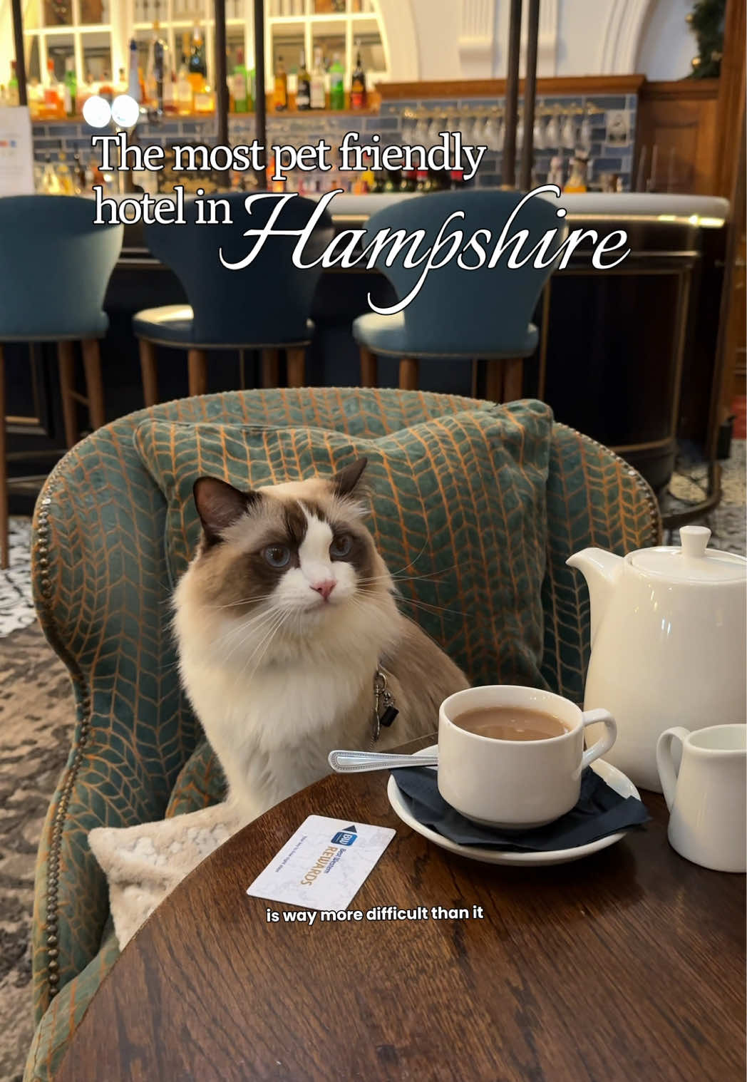 TikTok post by @ragdollatticus for Best Western. Caption reads: [...] and perfectly located hotel… @Best Western....