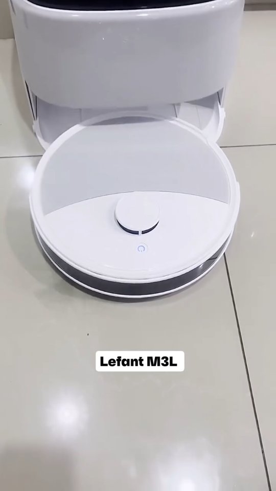 Instagram post by @just.wing.it._ for Lefant. Caption reads: [...] does all the house cleaning for you!....