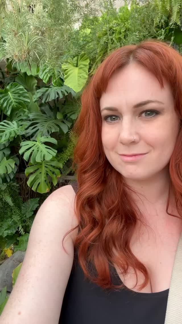 Instagram post by @thehouseplantdiva for Lively Root. Caption reads: 🌱 Major sale alert from @livelyroot for Black....