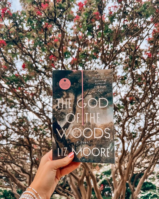 Instagram post by @emilybookedup for Riverhead Books. Caption reads: this book is GOOD my friends! 📖🪵🩷 it’s another....