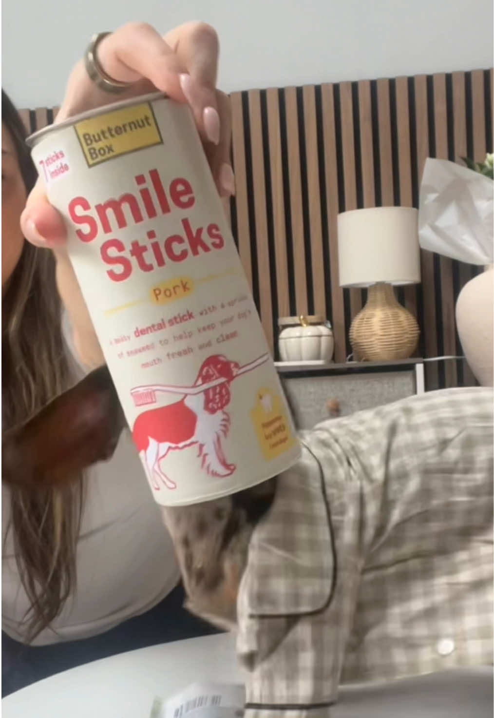 TikTok post by @nelsonthewiener for Butternut Box. Caption reads: Squeaky clean 🦷 with @Butternut Box  #dachshund....