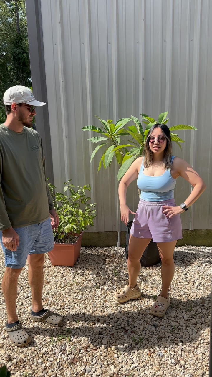 Instagram post by @tyler_s_goodrich for Turtlebox. Caption reads: Honeydew list. #sponsored #honeydew....