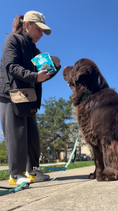 Instagram post by @mybrownnewfies for Earthborn Holistic Pet Food. Caption reads: 🌎Happy Earth Day🌎 #ad Today we’re celebrating by....