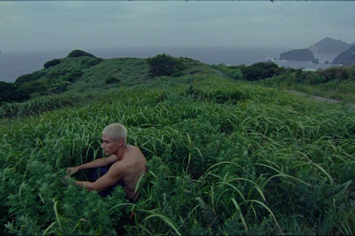 Instagram post by @teemochon for Kodak. Caption reads: BUTTERFLIES @mikah x @88rising | 500T & 250D 16mm....