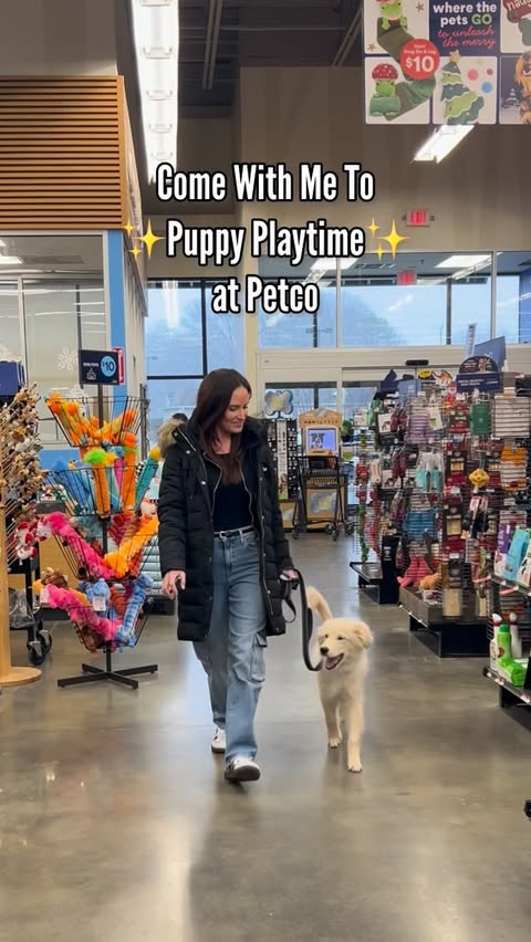 Instagram post by @halfhuskybros for Petco. Caption reads: [...] with Teddy to FREE Puppy Playtime at @Petco....