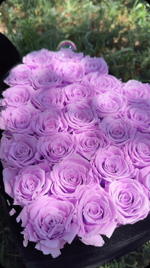 Instagram post by @magentavillegas for Rose Forever. Caption reads: Yes, these are the same roses from last year, and....