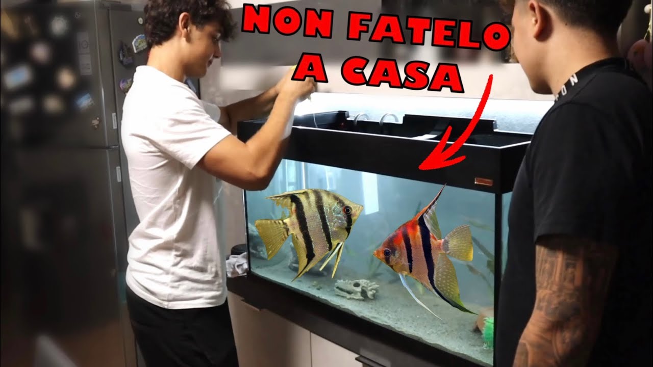 YouTube post by @tartamilloyt for Hygger Aquarium. Caption reads: How NOT to set up an aquarium (tutorial) aquarium....