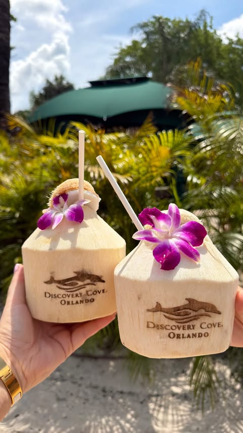 Instagram post by @christielouisemac for Trending Travel. Caption reads: [...] other park in Orlando. 🥥🌺🐠🦜 Ad....