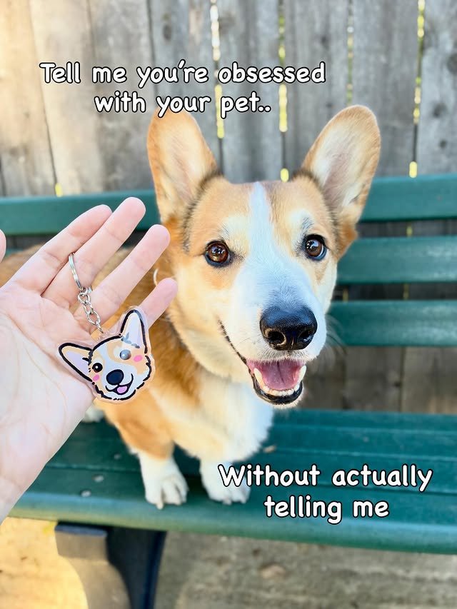 Instagram post by @clifford.the.little.red.corgi for Pupfluence. Caption reads: [...] without them 🫶🥰🤗Link in bio! • • •....