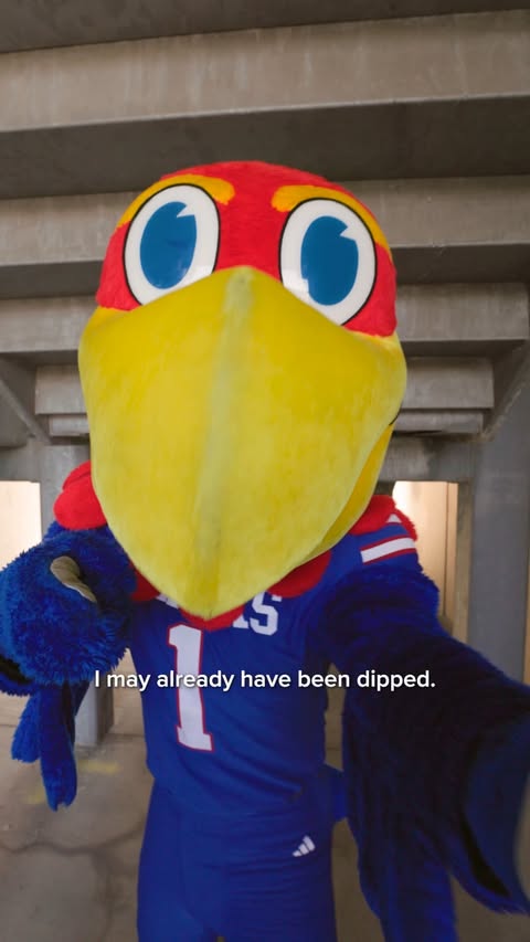 Instagram post by @kumascots for Dairy Queen. Caption reads: #ad This was really his "if anything happens to....