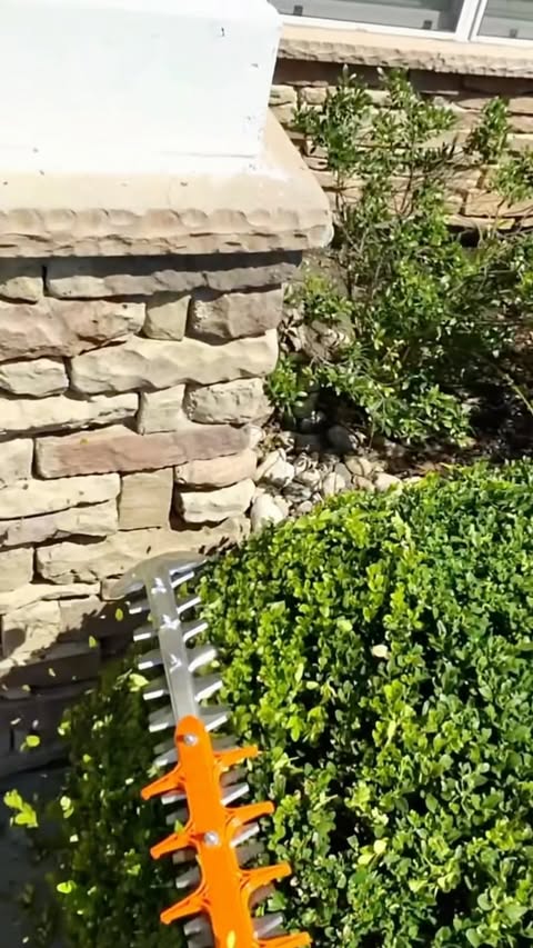 Instagram post by @blakealbertson816 for STIHL. Caption reads: I’ve had the chance to use more of STIHL’s....