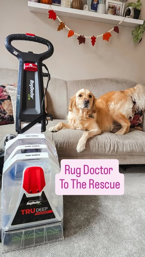 Instagram post by @kayceesworld for Rug Doctor. Caption reads: [...] to roll in outside. I tried the Rug Doctor....