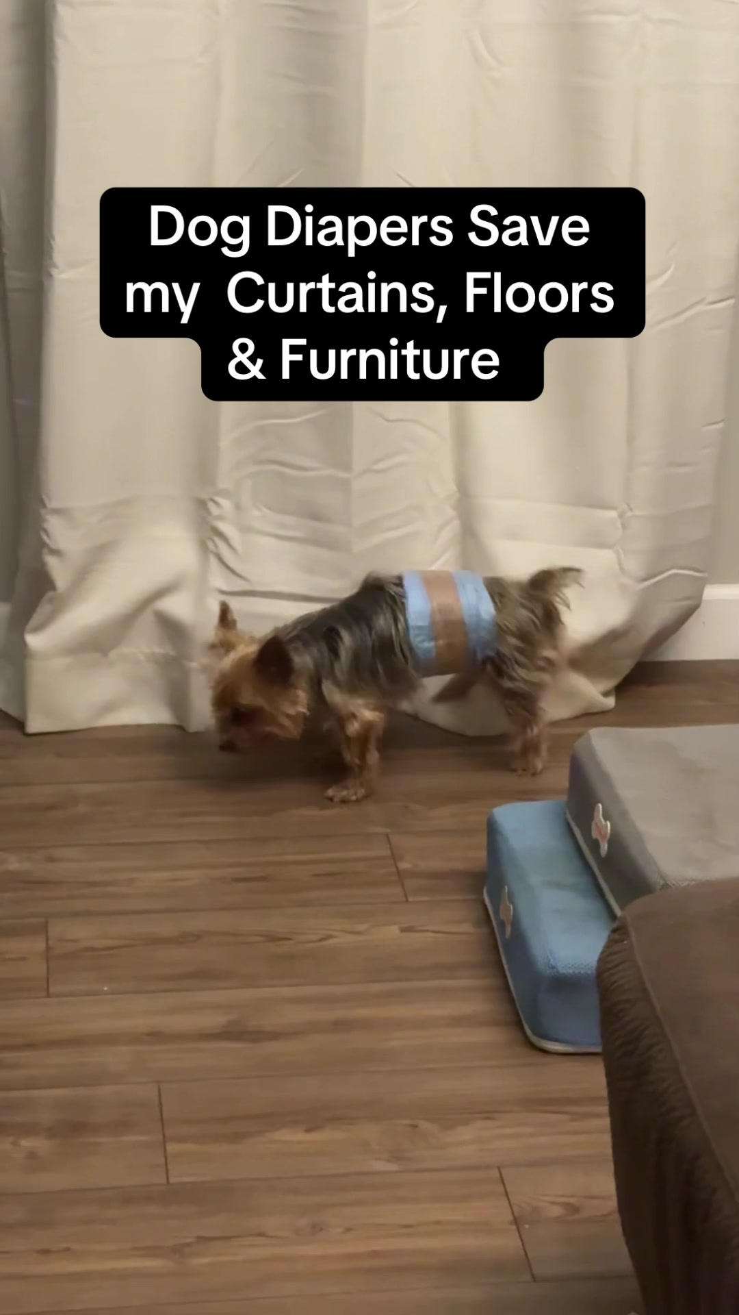 TikTok post by @kristas.kreations for HoneyCarePet. Caption reads: Instead of having everything in my house ruined....