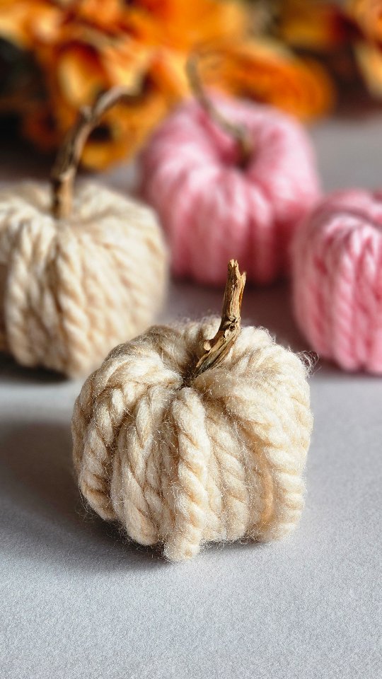 Instagram post by @madebydianasahafe for Hobbycraft. Caption reads: ✨ DIY AUTUMN Hack: I turned a toilet roll + wool....