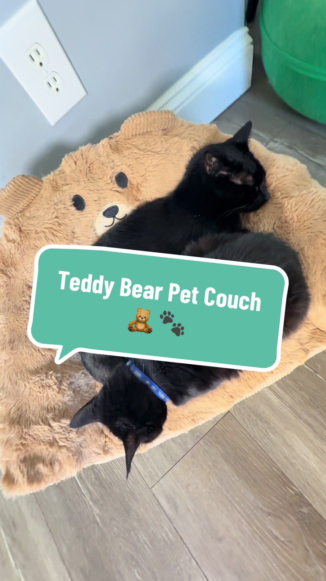 TikTok post by @ariesapproved for Lesure Pet. Caption reads: [...] below if your pet loves cozy too. @Lesure....