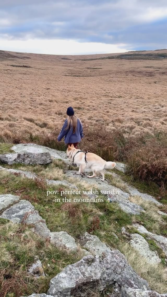 Instagram post by an influencer for ORIJEN UK & Ireland. Caption reads: The mountains are always our area of choice when....