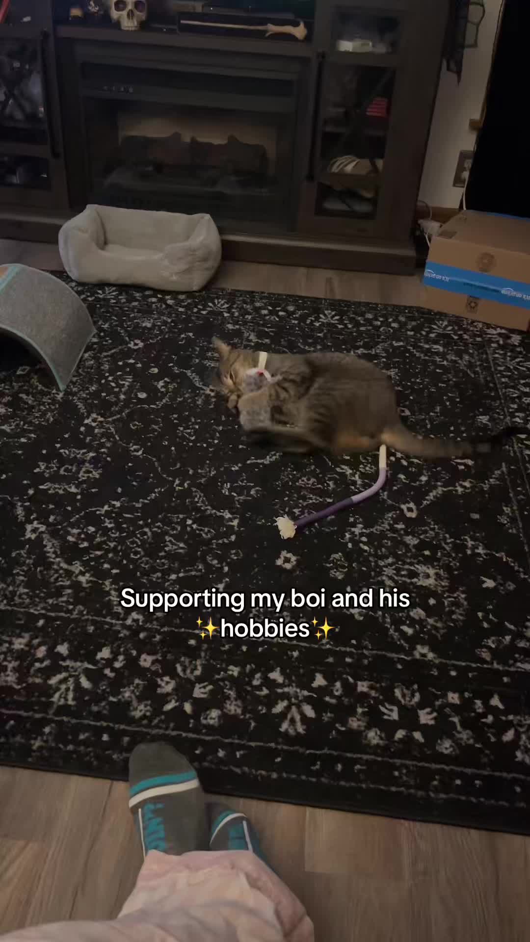 TikTok post by @katie__a_ for Potaroma. Caption reads: [...] #crazycats #vocalcats #sleepingcat @Potaroma....