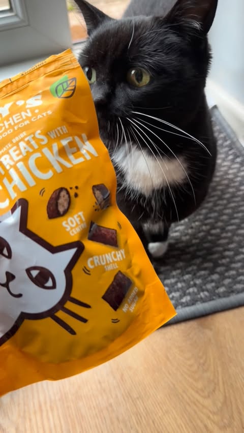 Instagram post by @figgypuddin_ for Lily's Kitchen. Caption reads: Ad | The sound of magic 💚 @lilyskitchenpetfood....