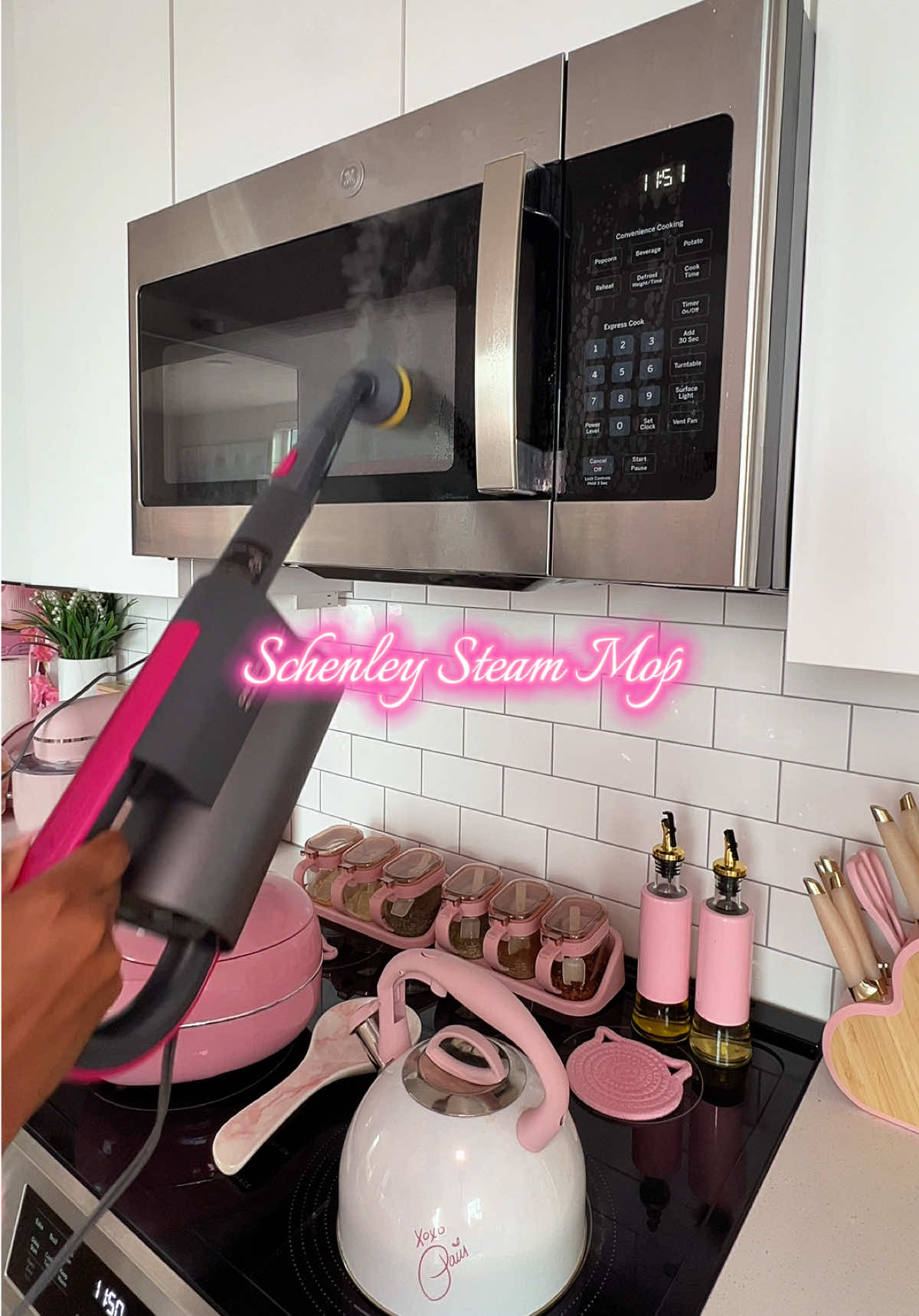 TikTok post by @ceaserbeauty for Schenley. Caption reads: [...] if it ain’t steamed it ain’t cleaned!....