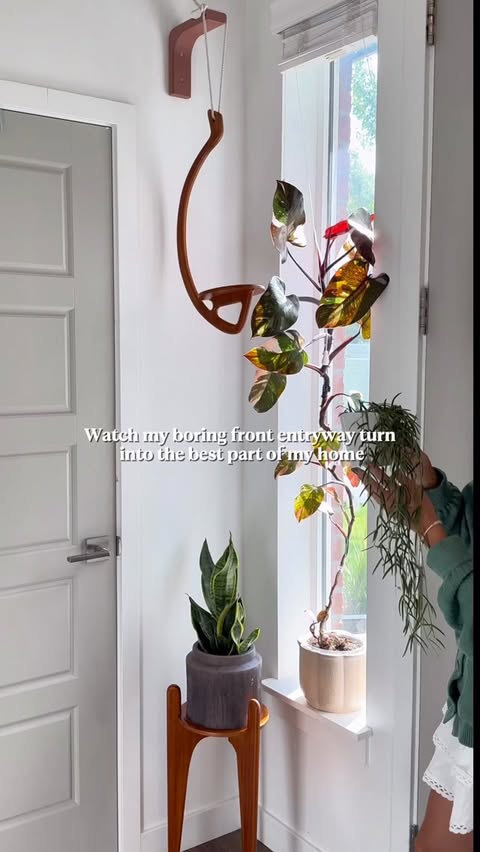 Instagram post by @mariahgrows for etsy. Caption reads: [...] | Plant Finds | Indoor Plant Lovers | @etsy....