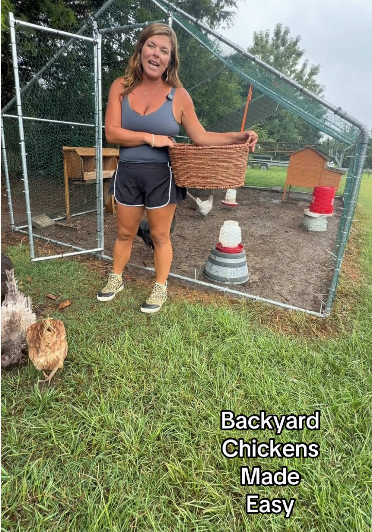 TikTok post by @breehoneycutt for VEVOR US. Caption reads: The easiest way to have all the backyard chickens....