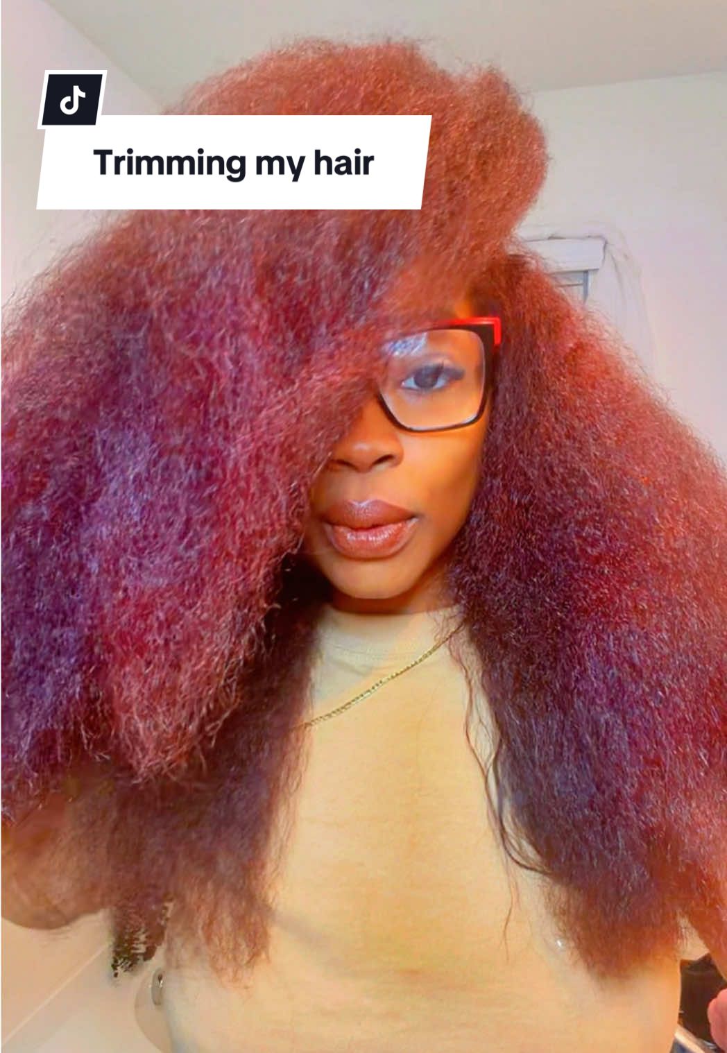 TikTok post by @denisesjourney for FHI Heat. Caption reads: #detanglingbrush #unbrush #hairday @FHI HEAT .