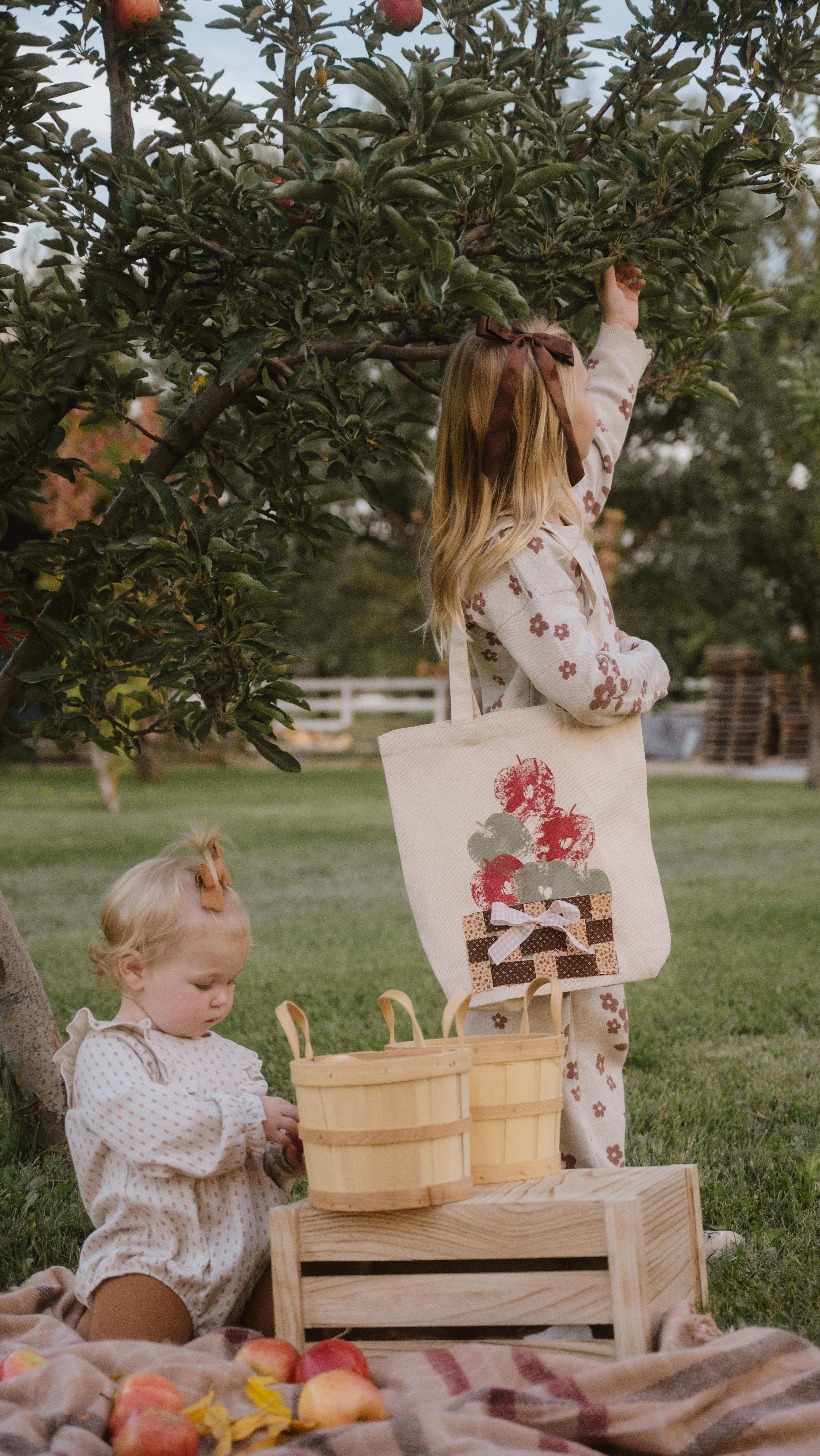 Instagram post by @bri.yingling for Gerber Childrenswear. Caption reads: DIY apple picking bags and the sweetest fall....