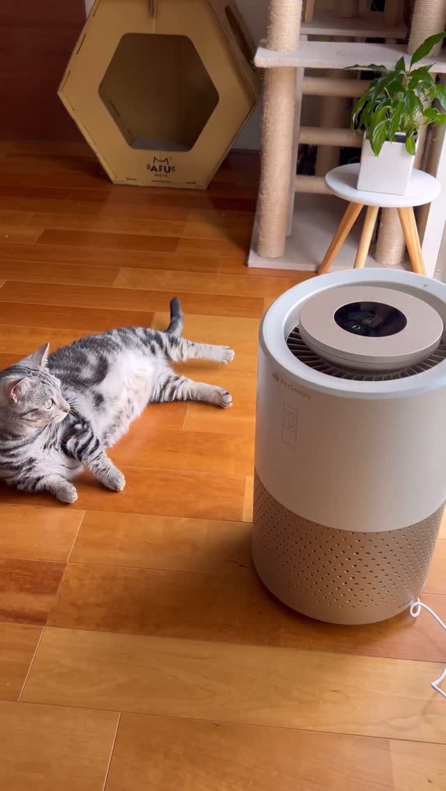 Instagram post by @ame_n103 for PetSnowy. Caption reads: [...]....