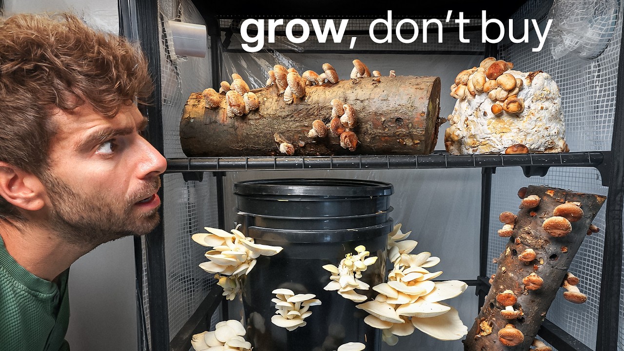 YouTube post by @LifebyMikeG for North Spore. Caption reads: I'm never buying Mushrooms again (here's why).
