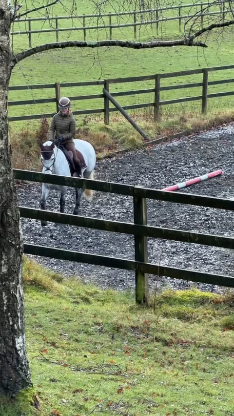 Instagram post by @claudiagrovesequestrienne for Charles Owen. Caption reads: [...] @lemieuxproductsofficial @charlesowenhelmets....