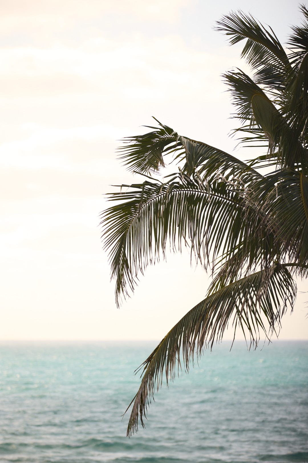 Instagram post by @annie.moves for Alo Moves. Caption reads: Find peace in the present. Harness the promise of....