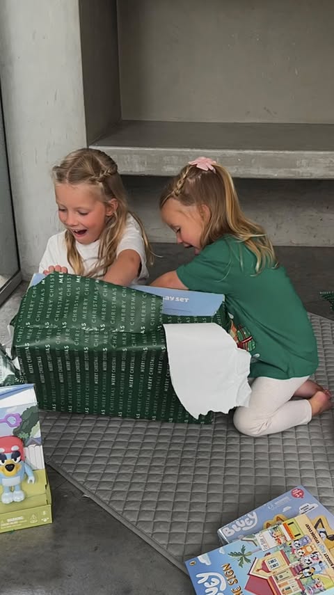 Instagram post by @charlotteviney for Bluey. Caption reads: [...] me to Kmart to pick out the perfect ‘Bluey’....