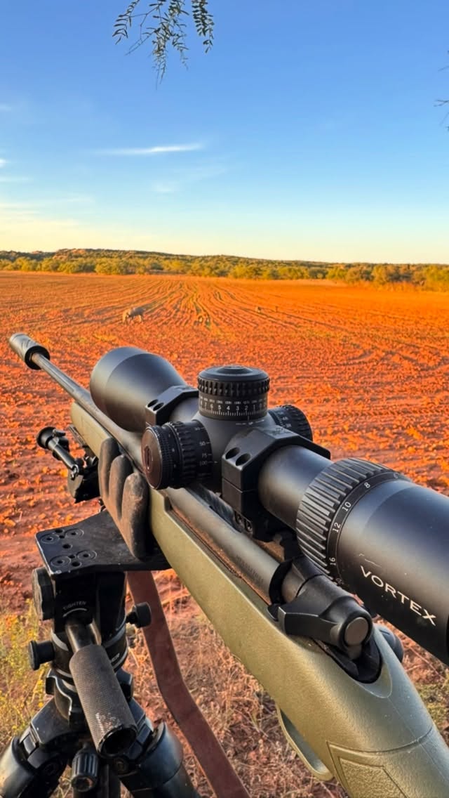 Instagram post by @lonestaroutdoorshow for Vortex Optics. Caption reads: Sat a wheat field to see if there was any chasing....