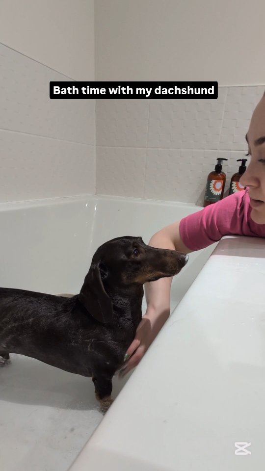 Instagram post by @rodneyandgabstoronto for Dandylion. Caption reads: [...] to escape 😂 we've been loving using....