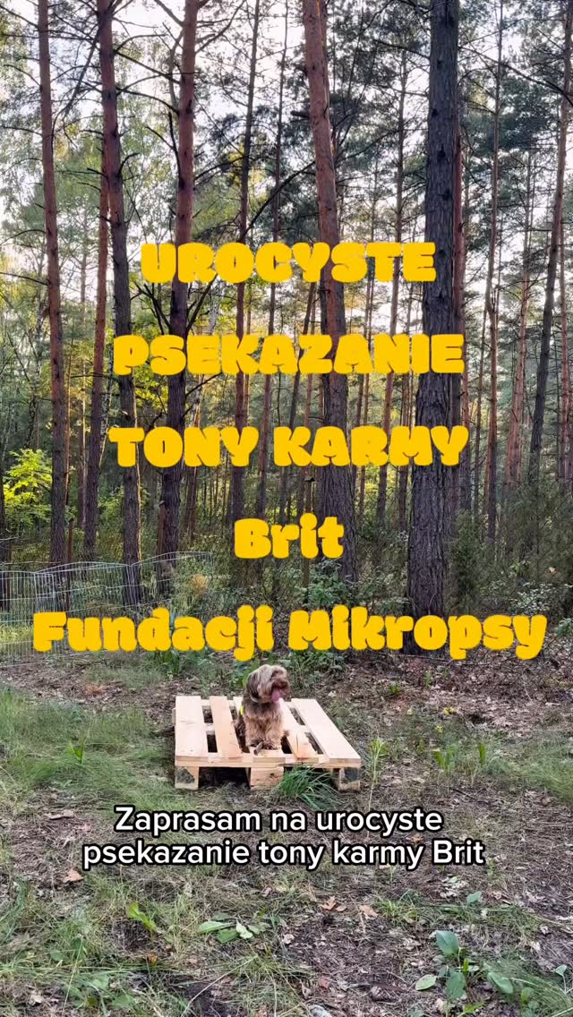 Instagram post by @zborowskazofia for Brit Petfood. Caption reads: Stało się! Tona karmy od naszego PSIArtnera....