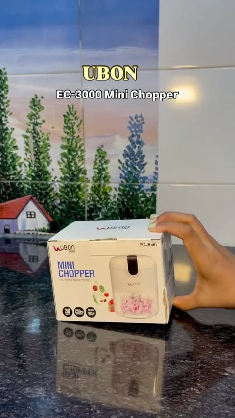 Instagram post by @sanchita_pal13 for UBON. Caption reads: Chop smarter, prep faster. The Ubon Mini Chopper....