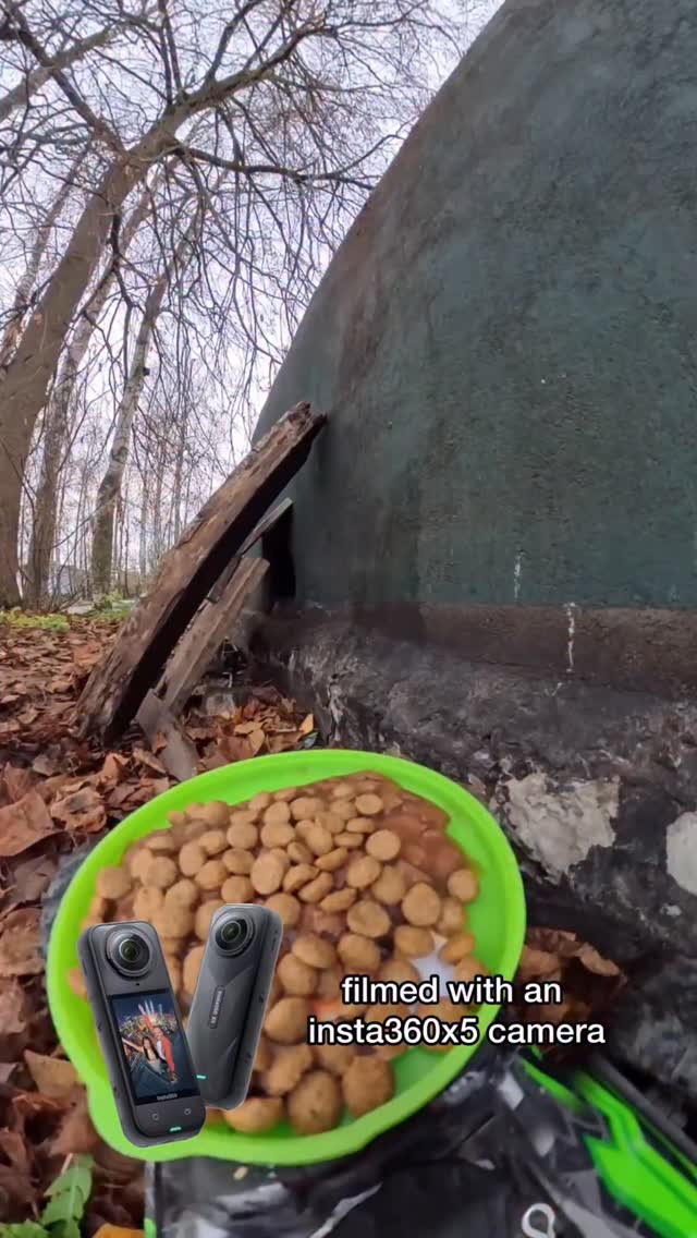 Instagram post by @prohor.tv for Insta360. Caption reads: Thank you for the paid subscription on....