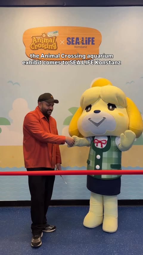 Instagram post by @mayplaystv for Sea Life Centre. Caption reads: AD Calling all Animal Crossing fans in Germany…....