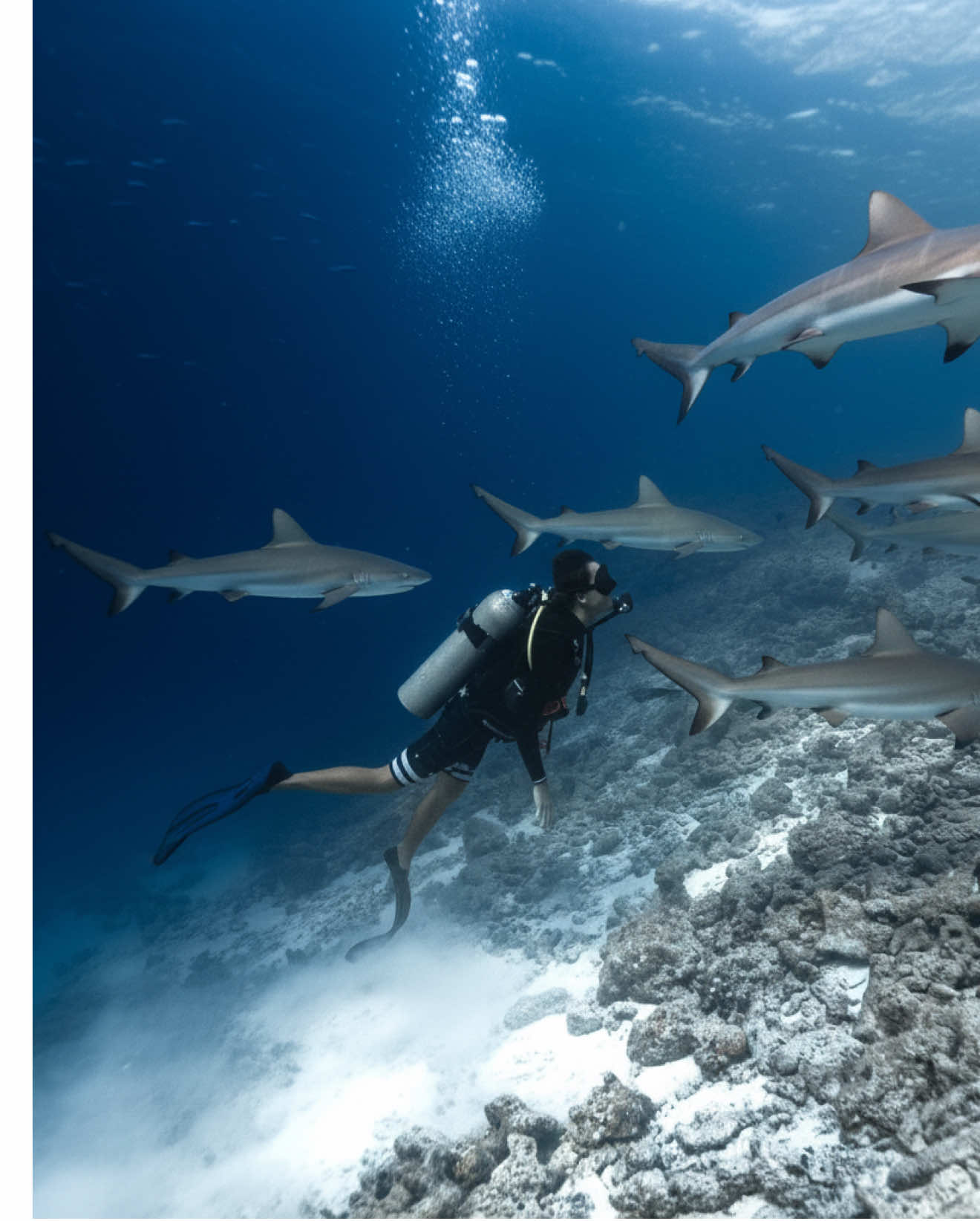 TikTok post by @antoniocncastro for Pull&Bear. Caption reads: Travelaholic ❤️‍🩹  outfit from @Pull&Bear .
