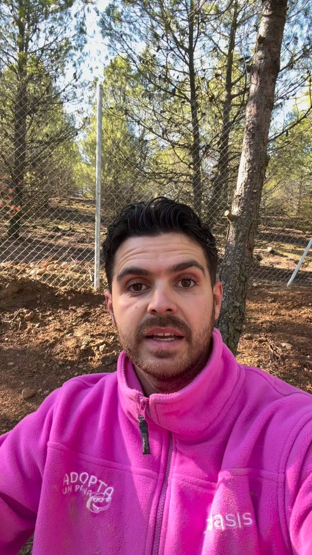 Instagram post by @ecojuanmanuel for Barkibu. Caption reads: [...] descuento para tu seguro con @barkibu....