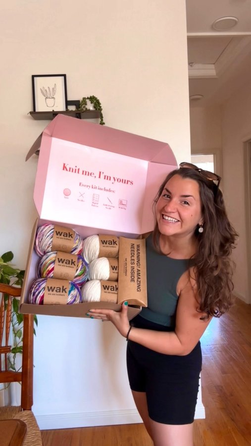 Instagram post by @theebusybri for We Are Knitters. Caption reads: [...] to be working on this kit from....