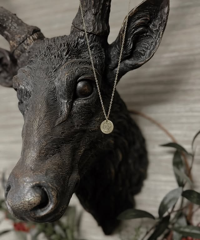 Instagram post by @milo.murphy.an.me for Pupring. Caption reads: [...] The Pawfect Gift ☃️ 

Bringing to you….....