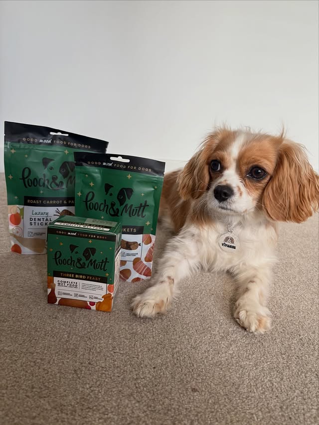 Instagram post by @_laurenslife_x for Pooch and Mutt. Caption reads: [...] all her Christmas treats 🐾

AD |....