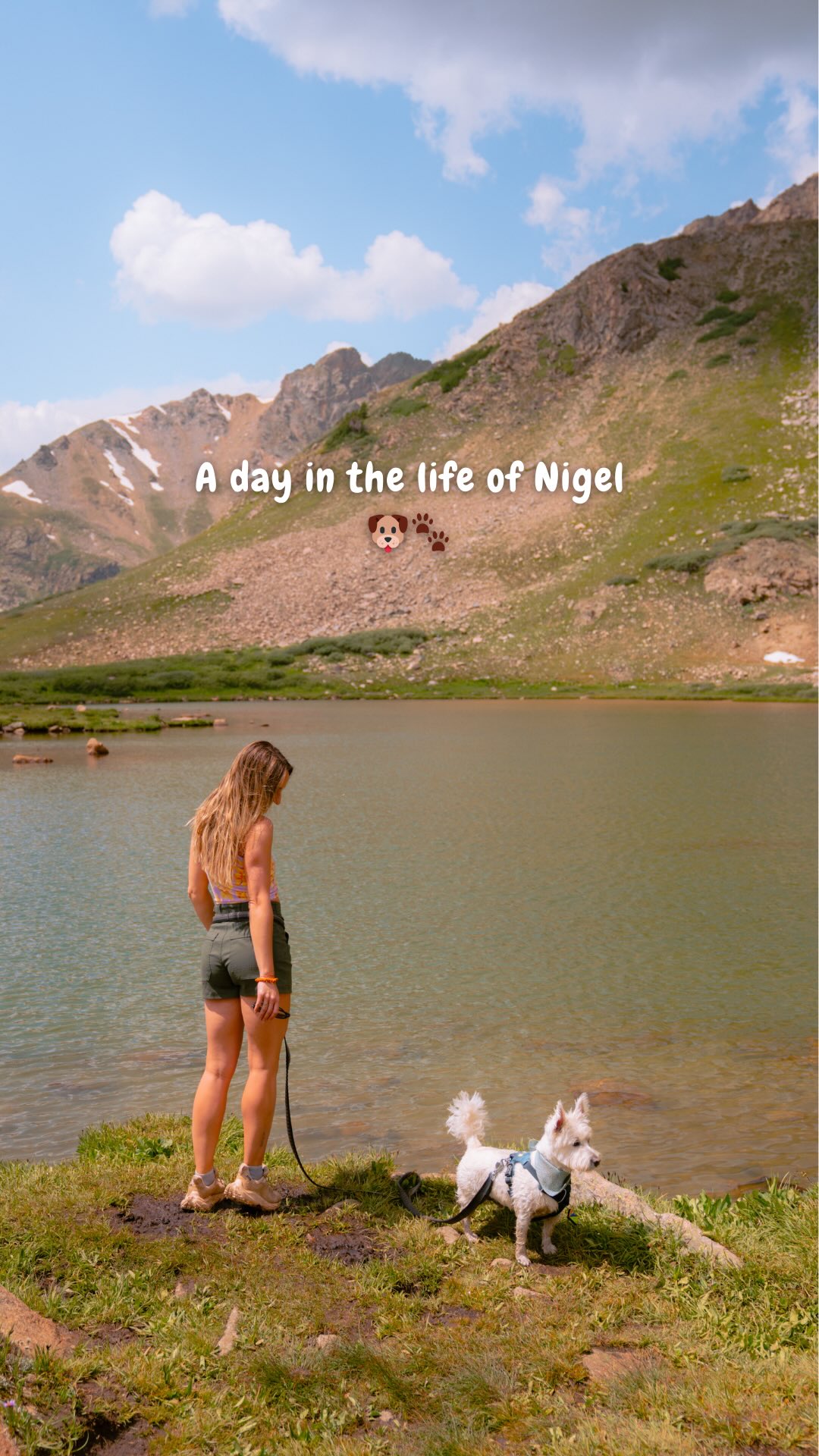 Instagram post by @dashaslens for Freshpet. Caption reads: ✨ Spend the day with Nigel ✨

Fresh from the....